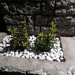 Da Nonna Anna 아파트 Montagna in Valtellina